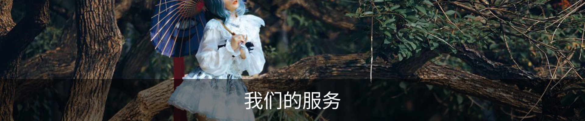 我们的服务
